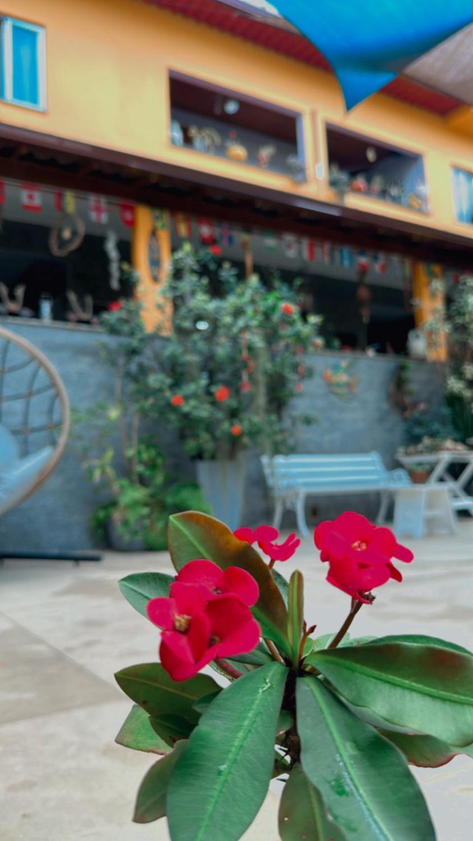 Village Potira - The Guest House Rio de Janeiro Exterior foto